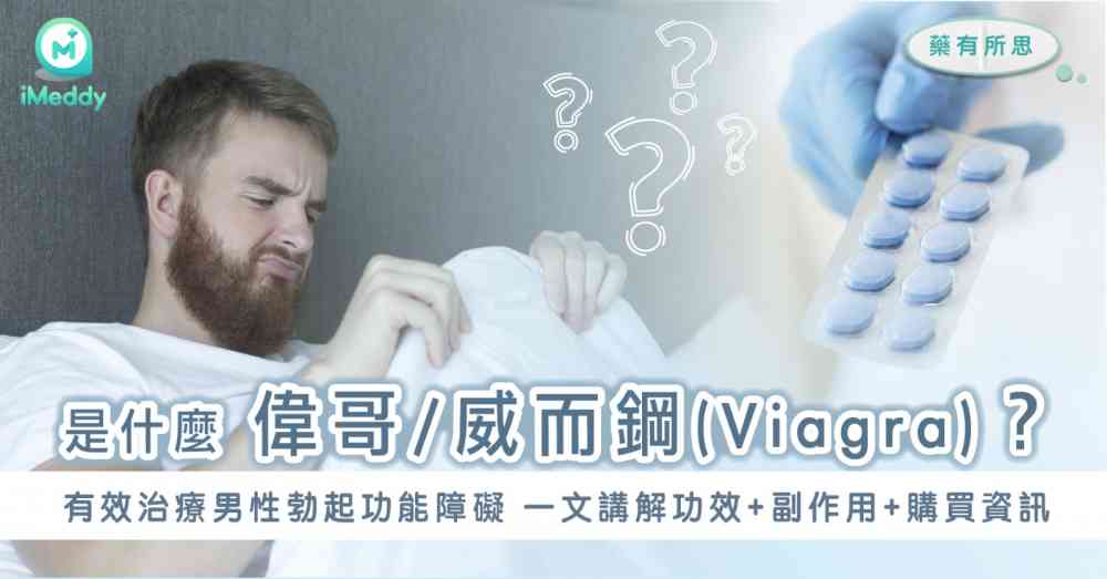 偉哥的歷史：偉哥的起源及它的製造者