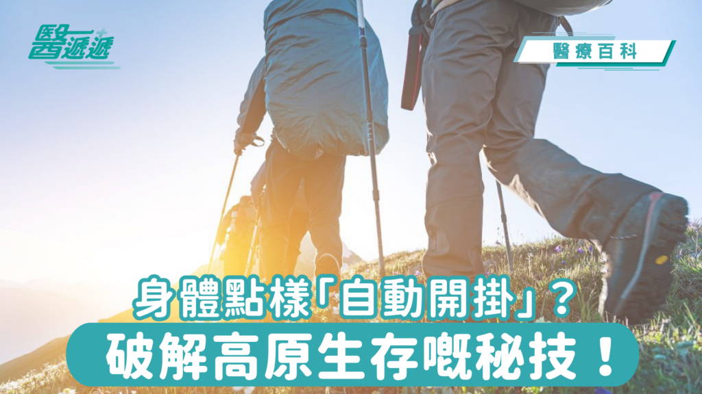 身體點樣「自動開掛」？破解高原生存嘅秘技！