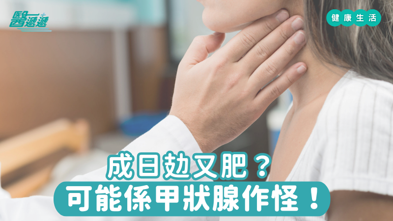 當甲狀腺無法分泌足夠的甲狀腺素，身體的新陳代謝速度就會減慢，各個系統的運作也跟著受到影響。以下是甲狀腺機能減退時，身體可能會出現的六種典型表現：